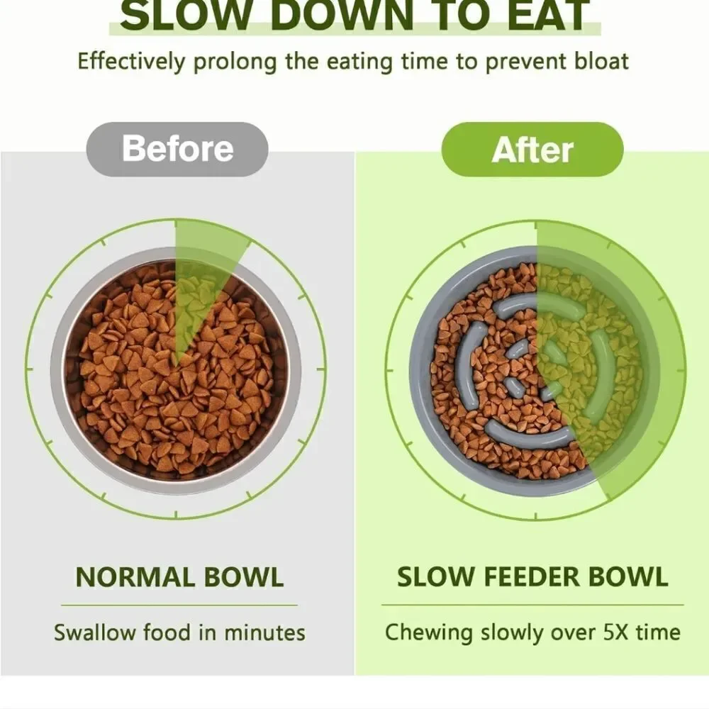 Silicone slow feeder mat and bowl for dogs